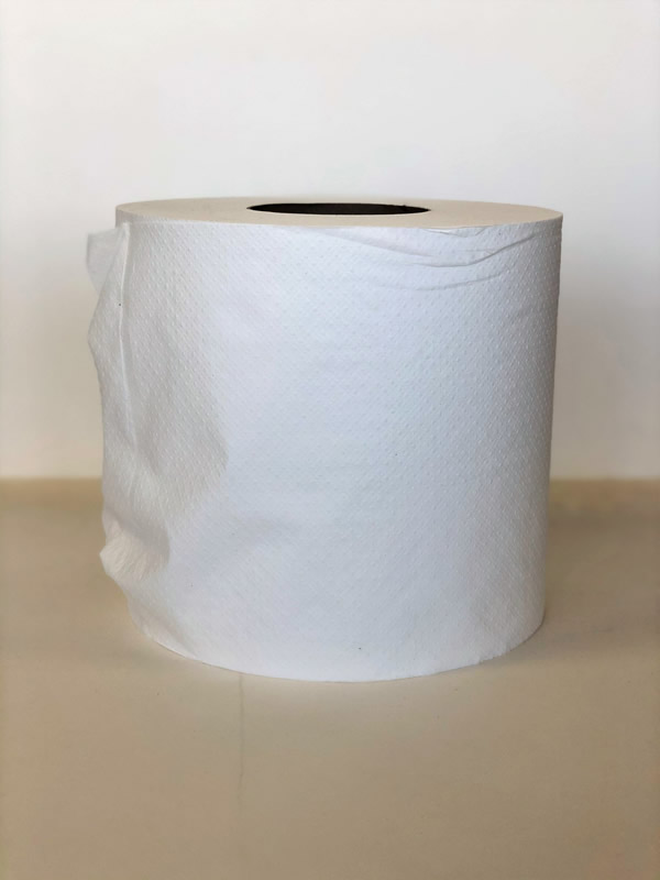2Ply Everest Pro Center Pull Paper Towel Roll